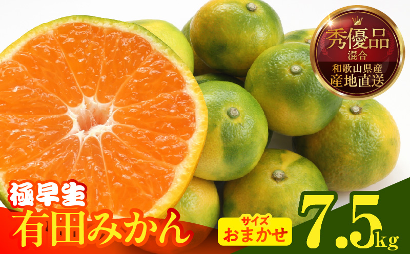 MK1071_みかん 極早生 箱込 7.5kg ( 内容量6.8kg ) おまかせサイズ（S/M/L）秀品・優品 の混合 有田みかん 和歌山県産