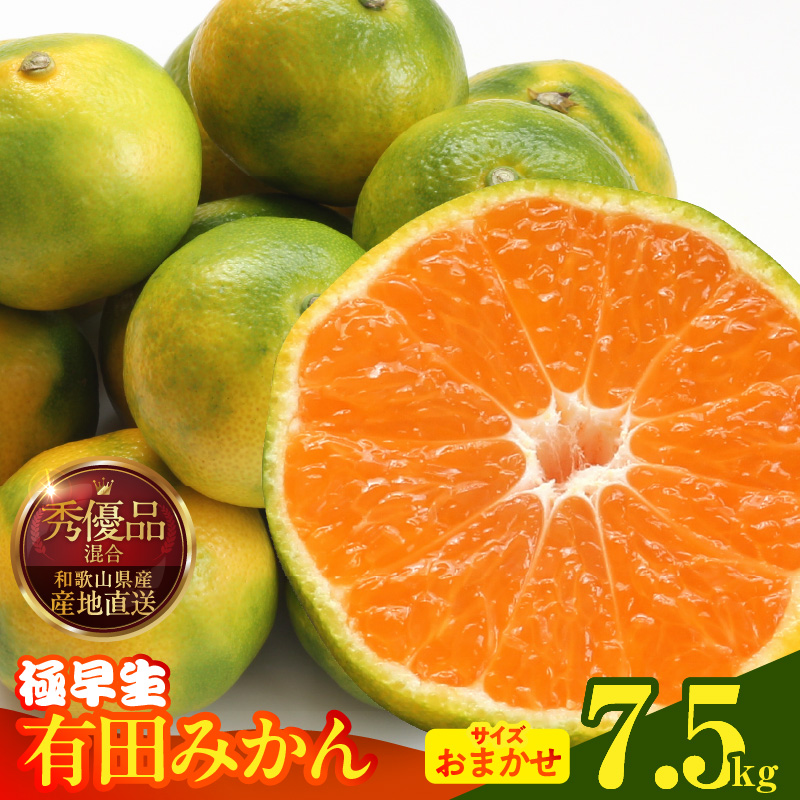 【2026年先行予約】みかん 極早生 箱込 7.5kg ( 内容量6.8kg ) おまかせサイズ（S/M/L）秀品・優品 の混合 有田みかん 和歌山県産_MK1071