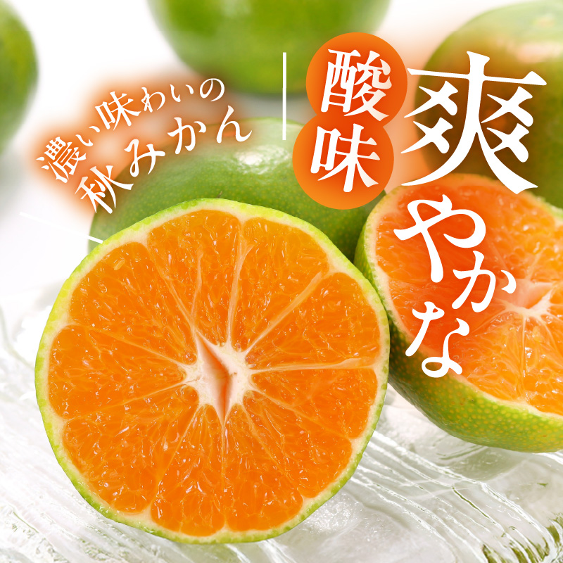 MK1061_ããæ©ç ã¿ãã ãšã«ããå°ç 箱蟌 2.5kg ( å
容é2.3kg ) 2Sãµã€ãºä»¥äž ç§åªæ··å æç°ã¿ãã åæå±±çç£