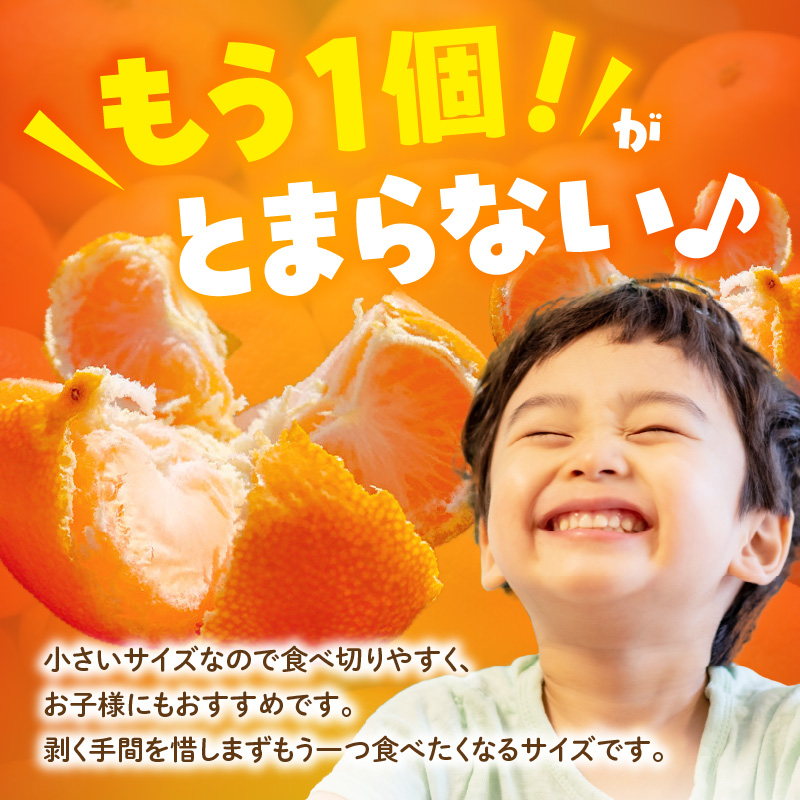 MK1061_ããæ©ç ã¿ãã ãšã«ããå°ç 箱蟌 2.5kg ( å
容é2.3kg ) 2Sãµã€ãºä»¥äž ç§åªæ··å æç°ã¿ãã åæå±±çç£