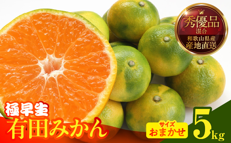 MK1072_みかん 極早生 箱込 5kg ( 内容量4.4kg ) おまかせサイズ（S/M/L）秀品・優品 の混合 有田みかん 和歌山県産