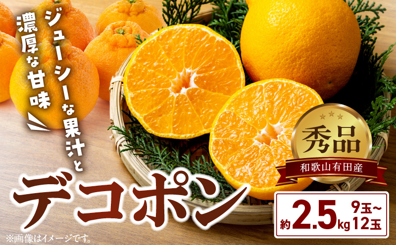 BD7008_【2026年先行予約】和歌山有田産 デコポン秀品のみ！ 2.5kg（9～12玉）