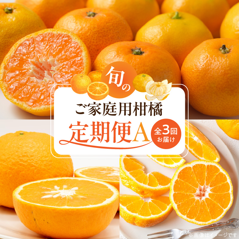 G60-T97_【発送月固定定期便】魚鶴自慢のご家庭用柑橘セット(みかん・不知火・清見)全3回