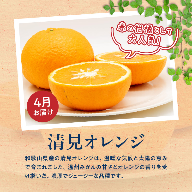 G60-T98_【発送月固定定期便】紀州和歌山産旬のご家庭用柑橘セット(みかん・不知火・せとか・清見)全4回