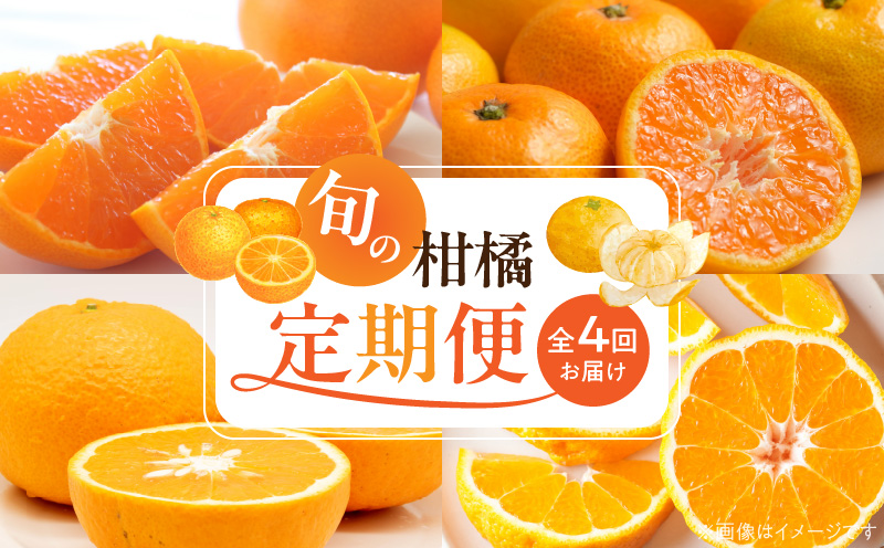 G60-T99_【定期便 全4回】紀州和歌山産旬の柑橘セット(みかん・不知火・せとか・清見)全4回