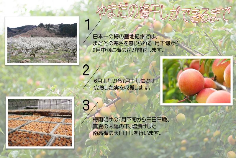 YD1009_邏蟾槫漉鬮俶「縺励◎繝励Ξ繝溘い繝蝪ゥ蛻邏6シシ500スシ