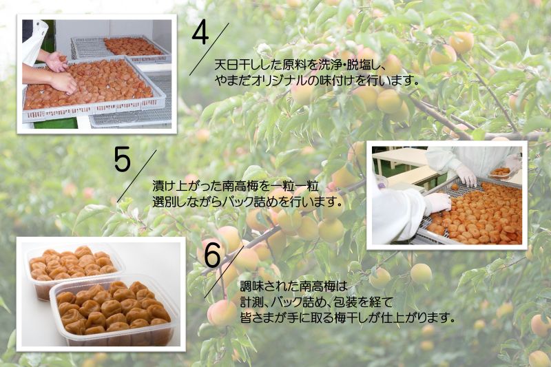 YD1009_邏蟾槫漉鬮俶「縺励◎繝励Ξ繝溘い繝蝪ゥ蛻邏6シシ500スシ