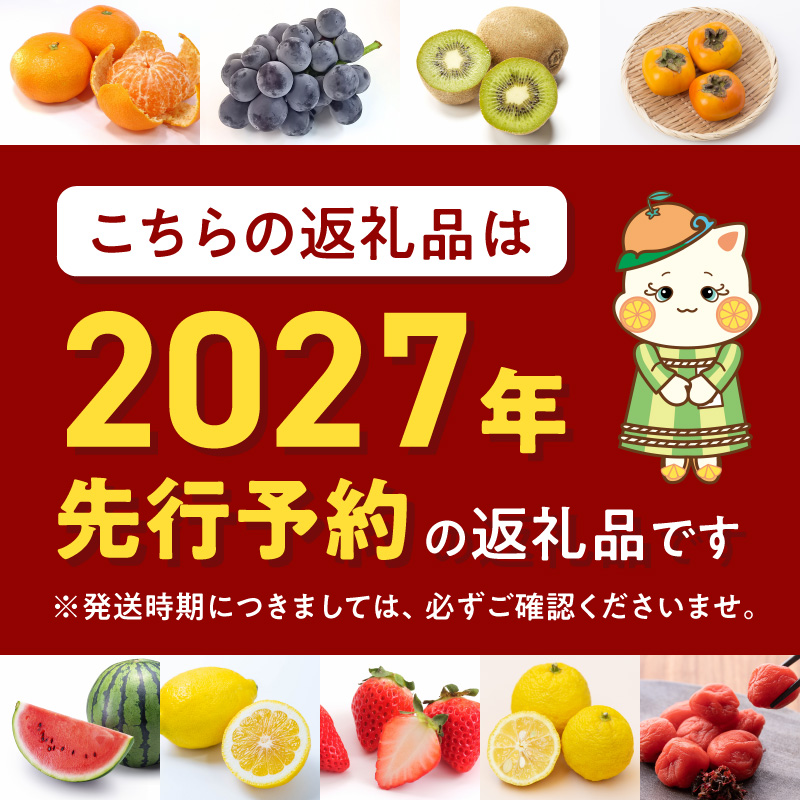 G7349_【2027年先行予約】とろける食感！ジューシー柑橘 せとか 2.5kg