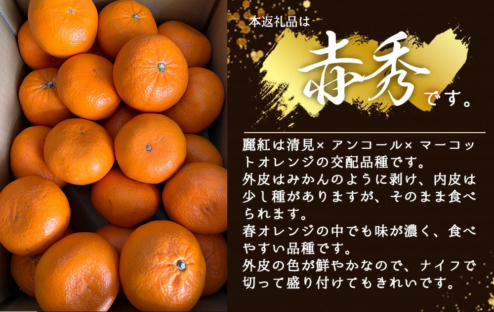 BF6062_（2026年先行受付）麗紅柑 (れいこう) 赤秀品 S～2Lサイズ 3kg 和歌山有田産