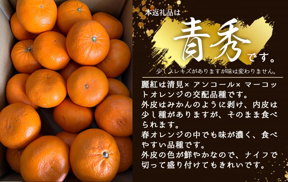 【2027年先行受付】麗紅柑 (れいこう) 青秀品 (家庭用) 2S～3Lサイズ 3kg 和歌山有田産_BF6063