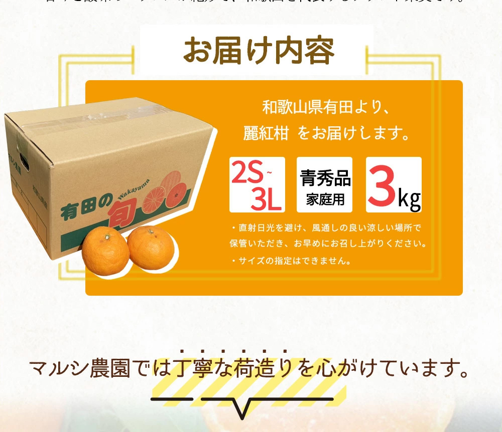【2027年先行受付】麗紅柑 (れいこう) 青秀品 (家庭用) 2S～3Lサイズ 3kg 和歌山有田産_BF6063