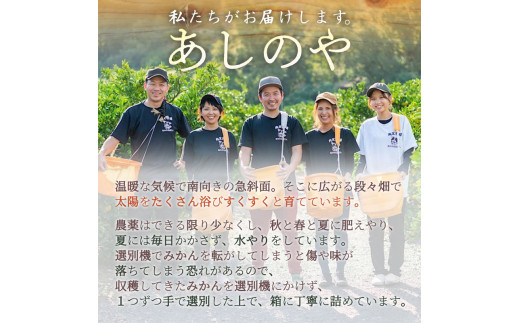 ZE6152n_【2026年先行予約】有田の八朔 (はっさく) 10kg（M～Lサイズ混合）まごころ手選別