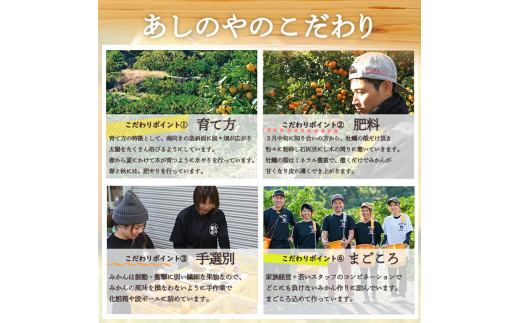 ZE6379n_ã2026幎å
è¡äºçŽãæç°ã®å
«æ (ã¯ã£ãã)ãèš³ãããå®¶åºçšã4kg (Sïœ4Lãµã€ãºæ··å)ããŸãããæéžå¥