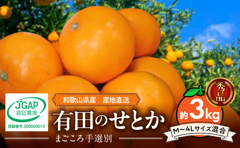 ZE6499_【2026年先行予約】【まごころ手選別】　せとか　約3kg　秀品