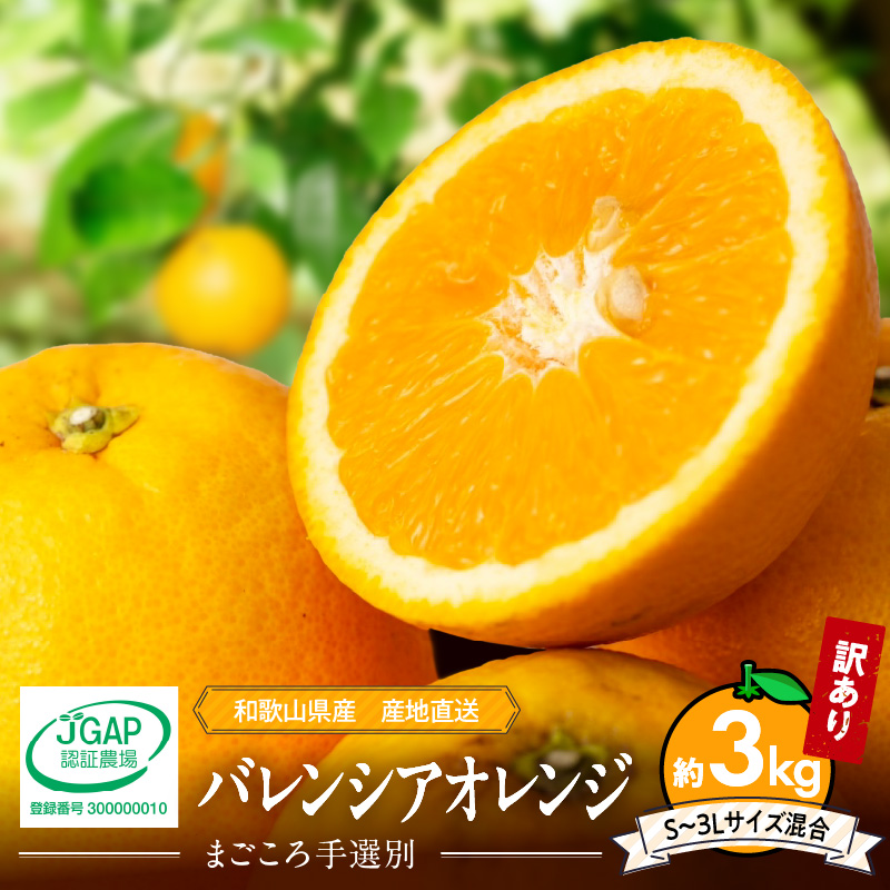 ZE6508_和歌山県産 バレンシアオレンジ 3kg 家庭用