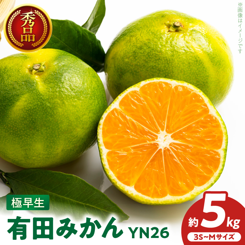 ZT6403_有田みかん　極早生　秀品　約5Kg