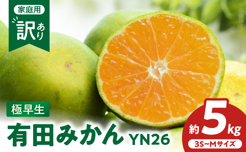 ZT6404_有田みかん極早生　YN26　訳あり　ご家庭用　約5kg