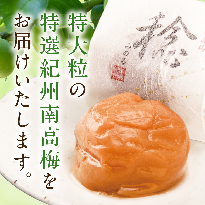 SF1028_çŽå·å髿¢
ãçšã20ç²å
¥