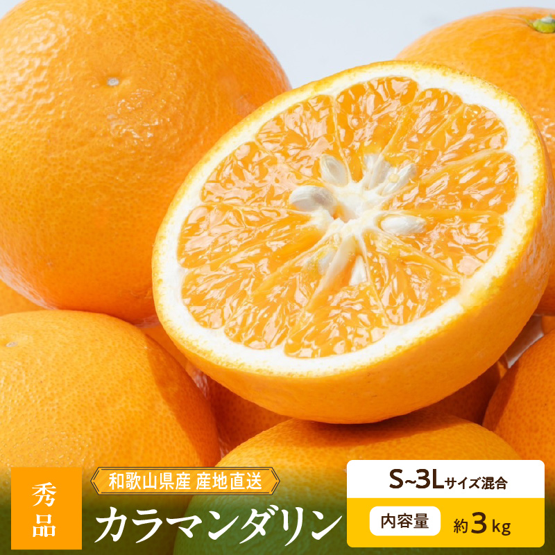 【2027年先行予約】和歌山県産 カラマンダリン 約3kg 秀品_ZE6500