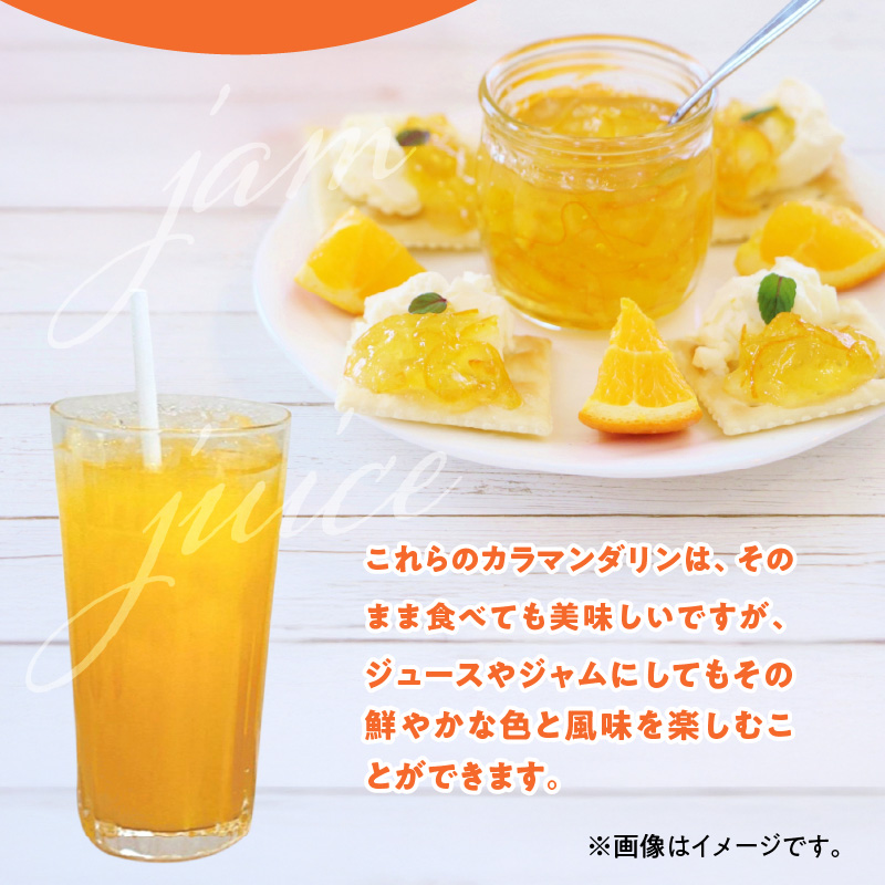 ZE6500_【2026年先行予約】和歌山県産 カラマンダリン 3kg 秀品