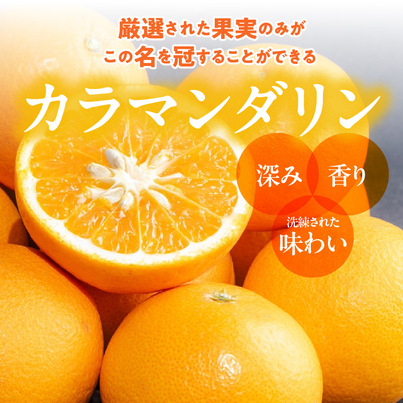 ZE6501_【2026年先行予約】和歌山県産　カラマンダリン　5kg　秀品
