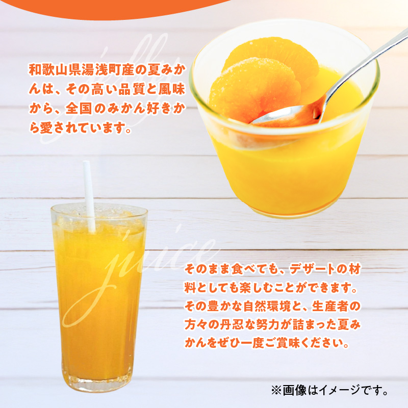 ZE6505_【2026年先行予約】和歌山県産　夏みかん　5kg　秀品