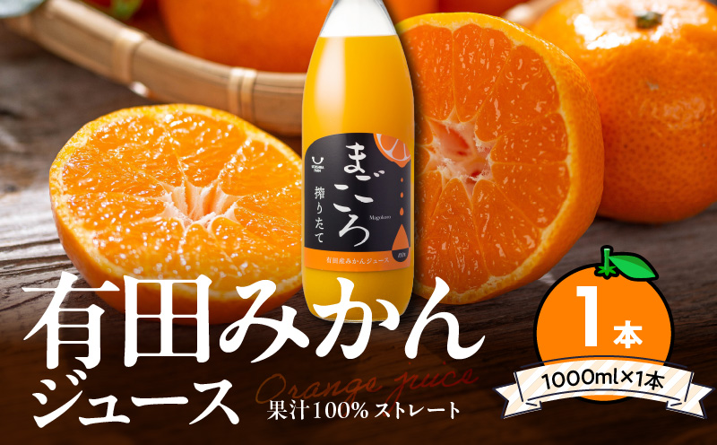 ZE6448_「まごころ」有田みかん 100％ ジュース 1000ml 1本