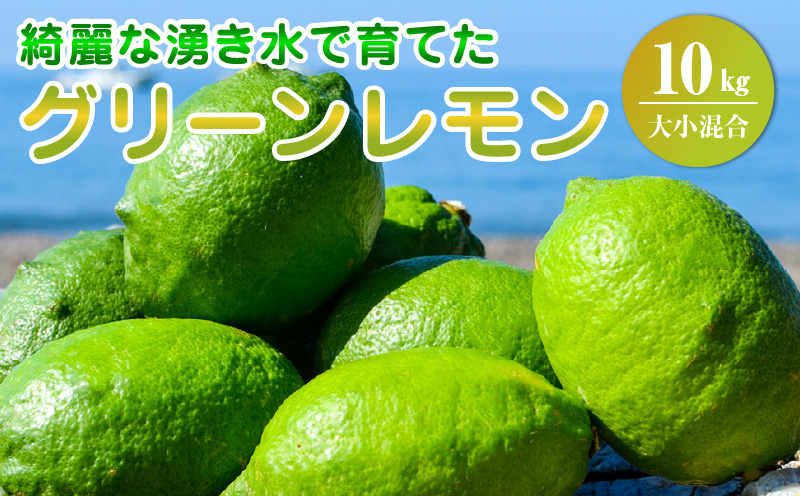EA6114_綺麗な湧き水で育てたグリーンレモン 10kg (大小混合)60個～120個