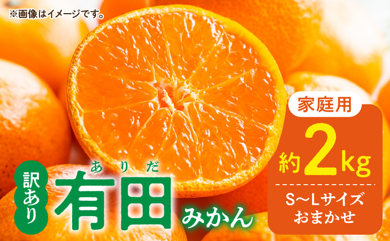 DZ6100_11_【2026年11月発送】ご家庭用 有田みかん 和歌山 S～Lサイズ 大きさお任せ 約2kg