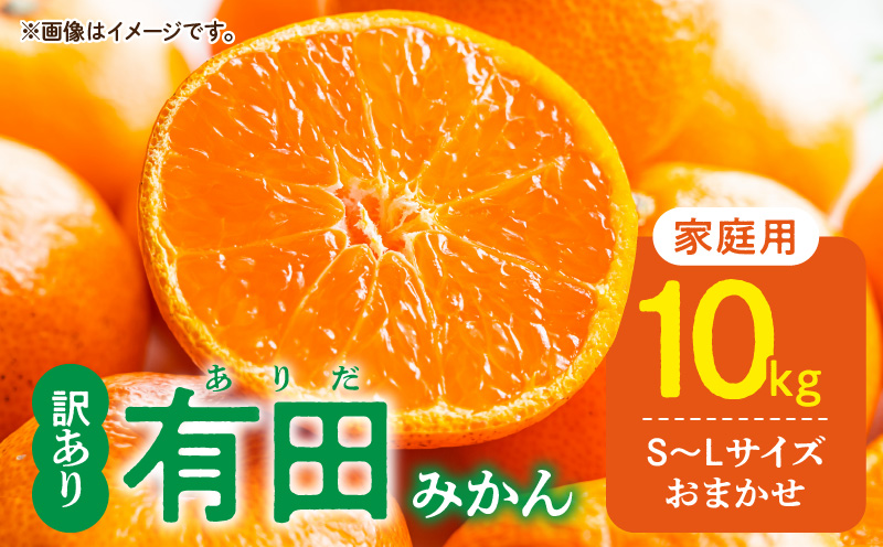 DZ6201_11_【2026年11月発送】ご家庭用 有田みかん 和歌山 S～Lサイズ 大きさお任せ 約10kg