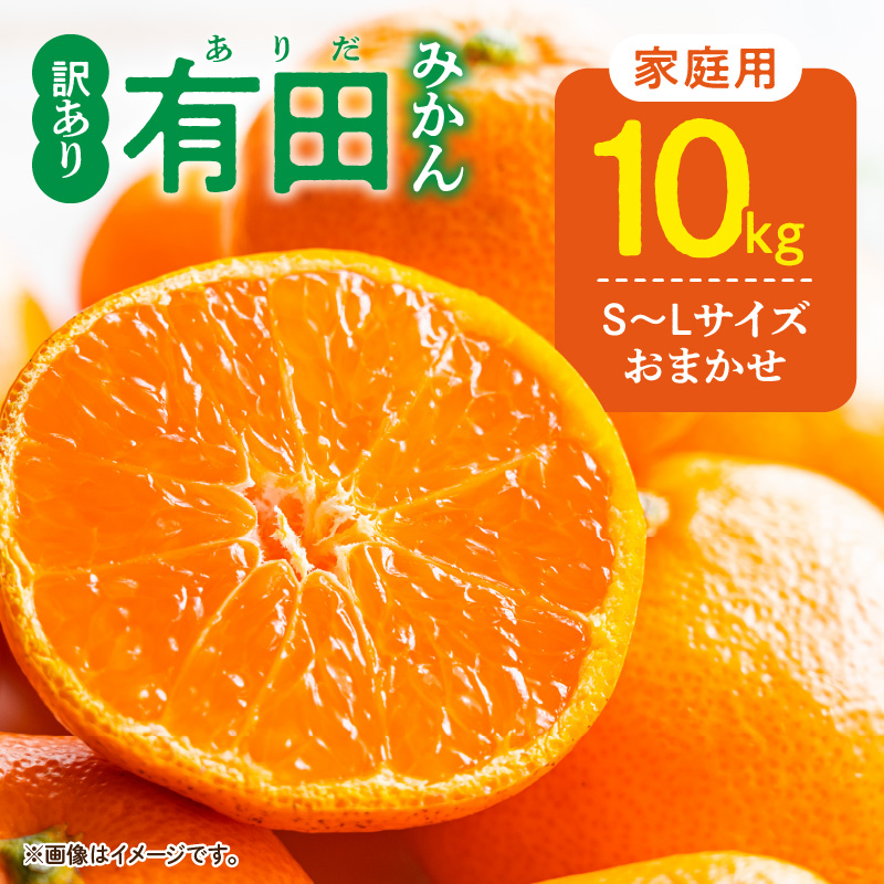DZ6201_11_【2026年11月発送】ご家庭用 有田みかん 和歌山 S～Lサイズ 大きさお任せ 約10kg