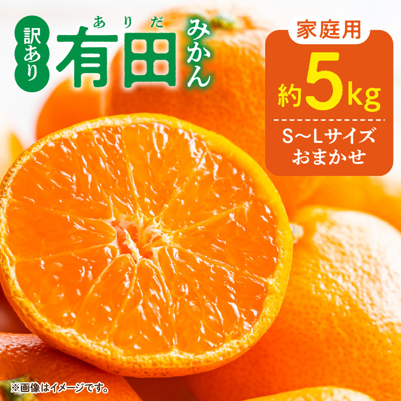 DZ6202_01_【2027年1月発送】ご家庭用 有田みかん 和歌山県産 S～Lサイズ 大きさお任せ 約5kg