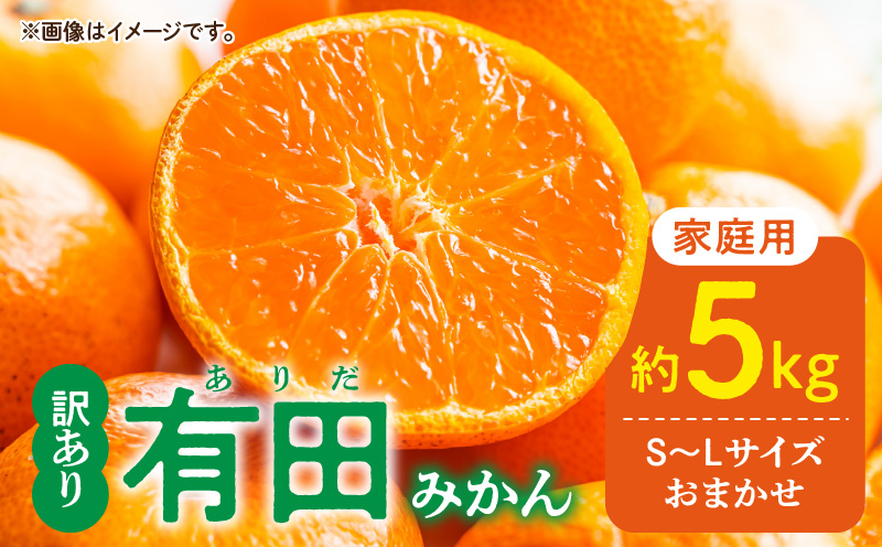 DZ6202_12_【2026年12月発送】ご家庭用 有田みかん 和歌山県産 S～Lサイズ 大きさお任せ 約5kg