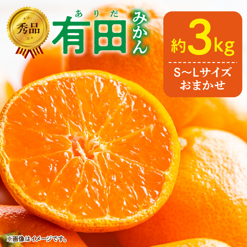 DZ6009n_01_【2027年1月発送】秀品 有田みかん 和歌山県産 S～Lサイズ 大きさお任せ 約3kg