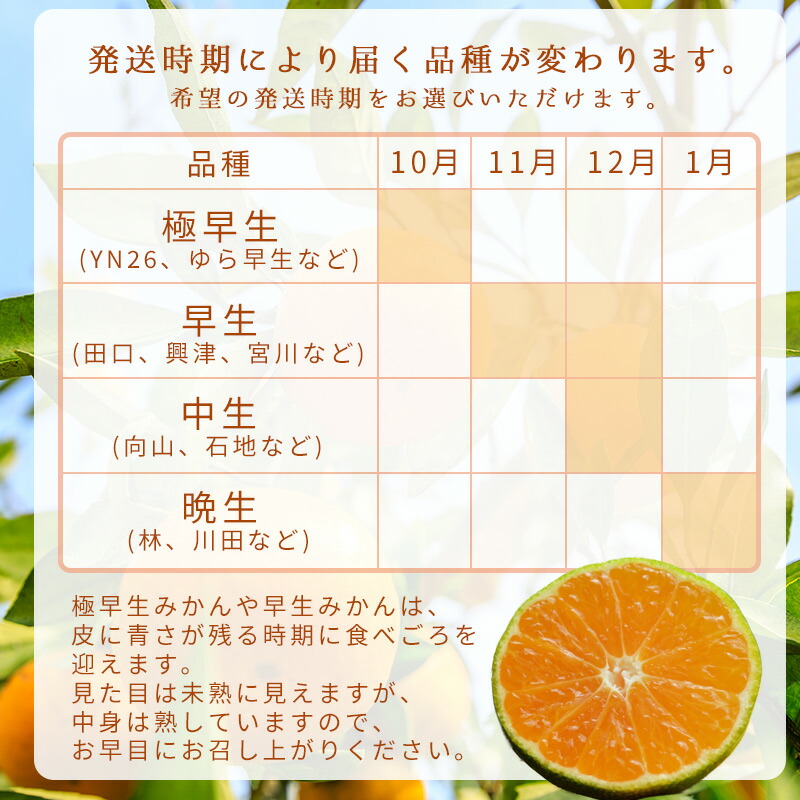 【2027年1月発送】秀品 有田みかん 和歌山県産 S～Lサイズ 大きさお任せ 約3kg_DZ6009n_01