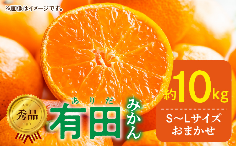 DZ6200_12_【2026年12月発送】秀品 有田みかん 和歌山県産 S～Lサイズ 大きさお任せ  約10kg