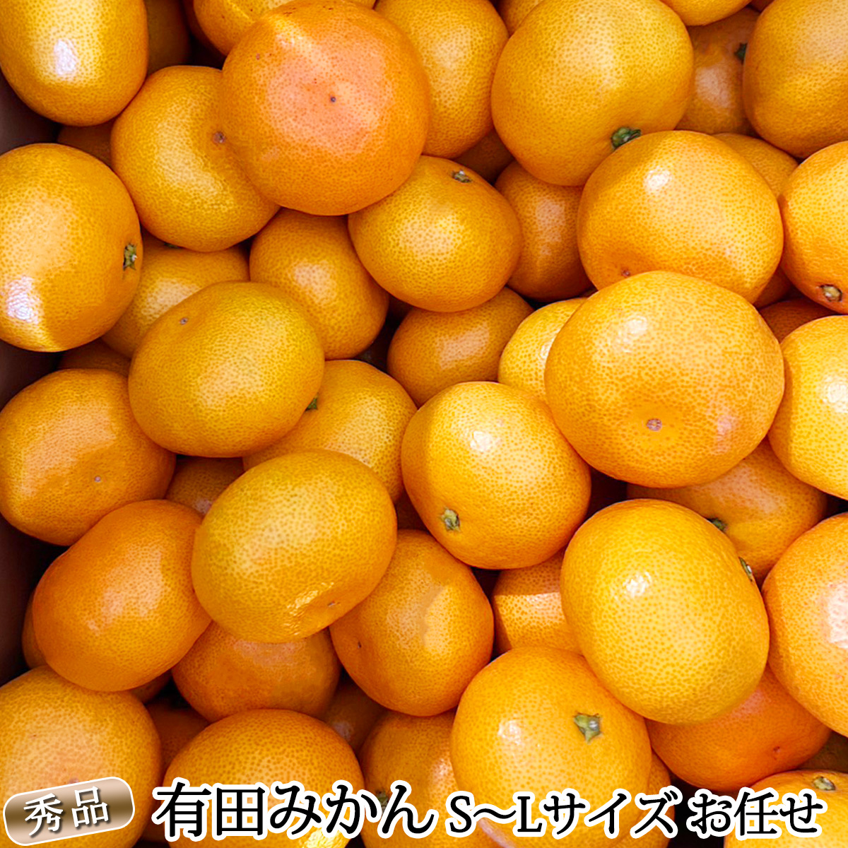 DZ6200_12_【2026年12月発送】秀品 有田みかん 和歌山県産 S～Lサイズ 大きさお任せ  約10kg