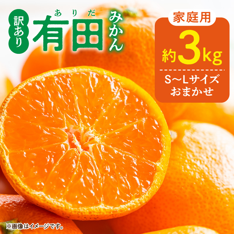 DZ6203_01_【2027年1月発送】家庭用 有田みかん 和歌山県産  S～Lサイズ 大きさお任せ 約3kg