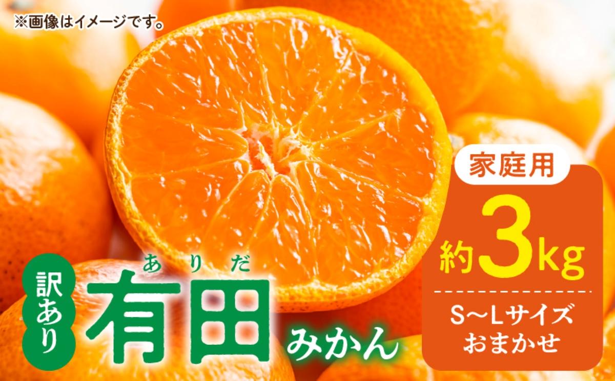 DZ6203_11_【2026年11月発送】ご家庭用 有田みかん 和歌山県産  S～Lサイズ 大きさお任せ 約3kg