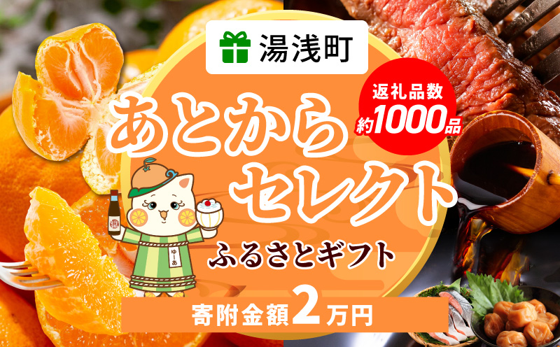 ZZ1006_あとからセレクト【ふるさとギフト】2万円