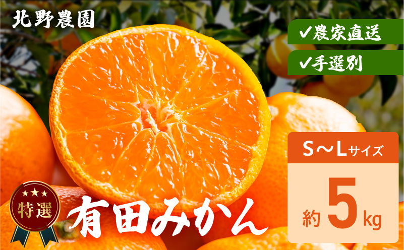 DZ6232_特選 有田みかん 和歌山 S～Lサイズ 大きさお任せ 約5kg