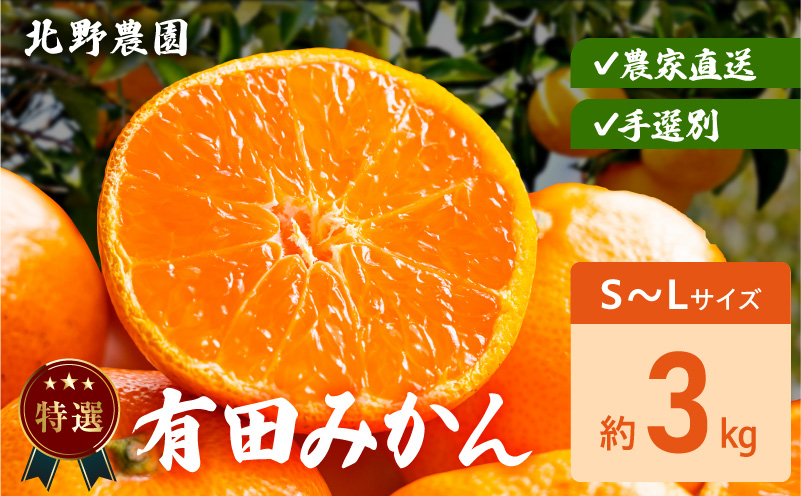 DZ6233_特選 有田みかん 和歌山 S～Lサイズ 大きさお任せ 約3kg