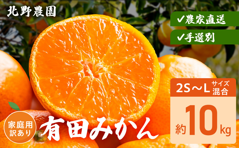 DZ6235_家庭用 訳あり 有田みかん 和歌山 2S～Lサイズ混合 約10kg