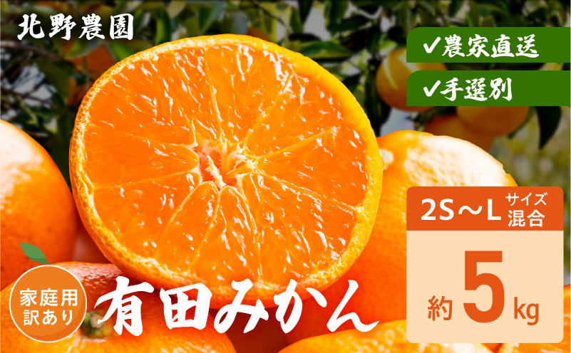 DZ6236_家庭用 訳あり 有田みかん 和歌山 2S～Lサイズ混合 約5kg