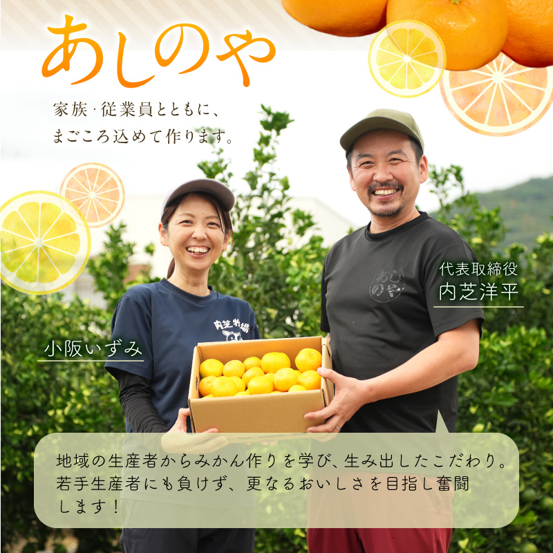 【2026先行予約】有田みかん 約5kg【家庭用】(S～Lサイズ)【まごころ手選別】_ZE6423