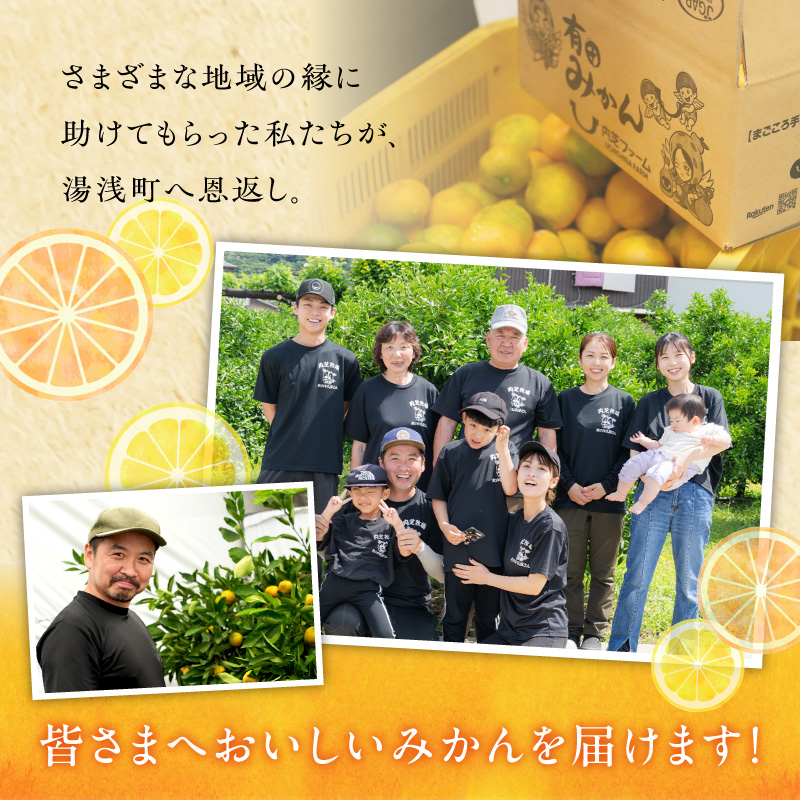 【2026先行予約】有田みかん 約5kg【家庭用】(S～Lサイズ)【まごころ手選別】_ZE6423