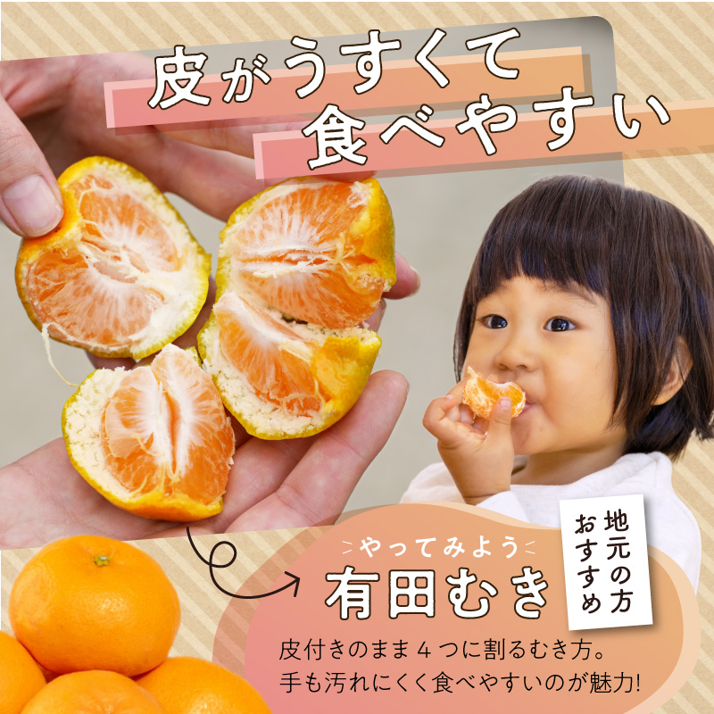 ZE6481_【2026先行予約】有田みかん 約3kg 【家庭用】 (S～Lサイズ混合)【まごころ手選別】