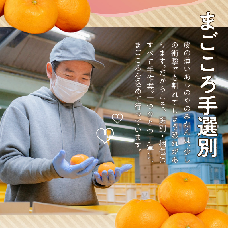 ZE6481_【2026先行予約】有田みかん 約3kg 【家庭用】 (S～Lサイズ混合)【まごころ手選別】