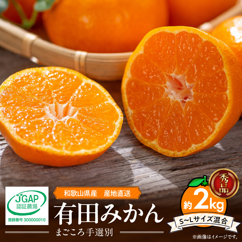 ZE6418_【2026年先行予約】【秀品】和歌山県産　有田みかん 約2kg （S～Ｌサイズ混合）【まごころ手選別】