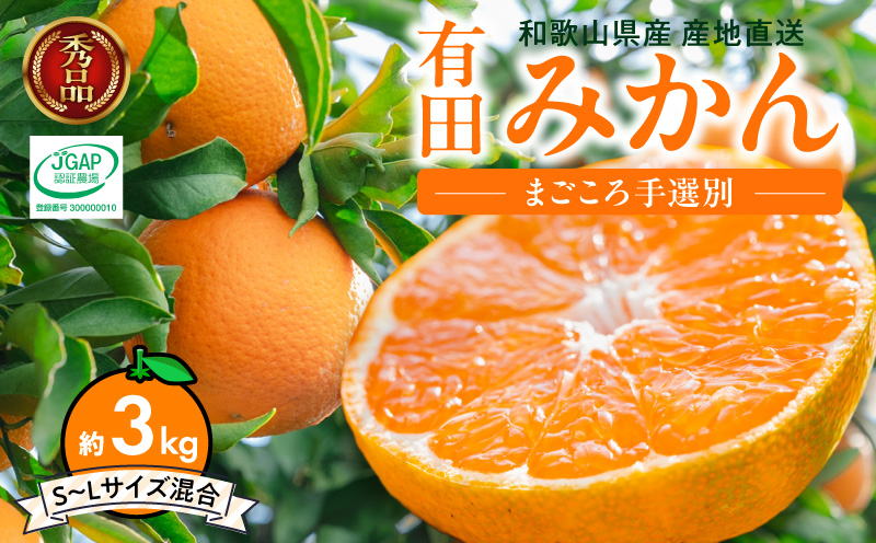 ZE6483_【2026年先行予約】【秀品】和歌山県産　有田みかん 約3kg （S～Ｌサイズ混合）【まごころ手選別】